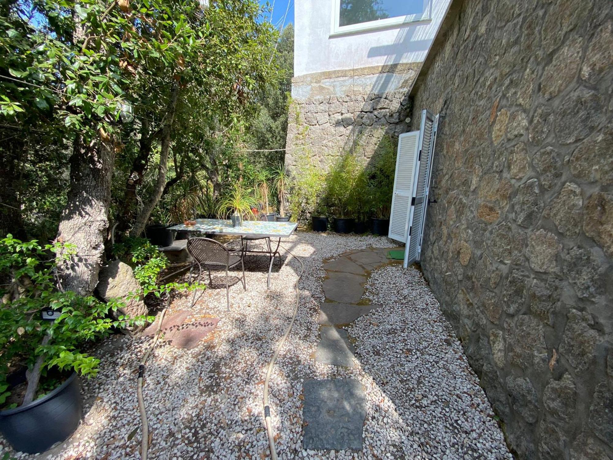 Le Dimore Di Zaro - Green Paradise Forio di Ischia Habitación foto