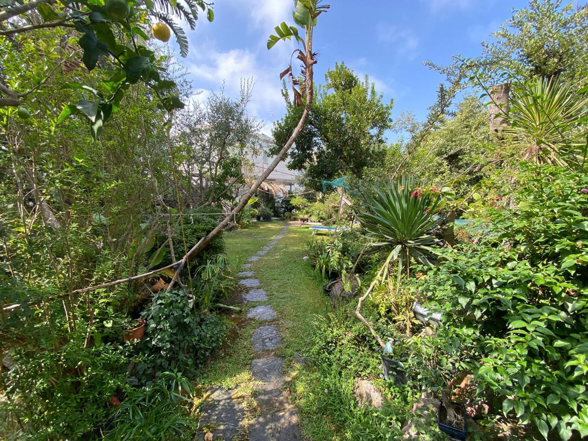 Le Dimore Di Zaro - Green Paradise Forio di Ischia Habitación foto
