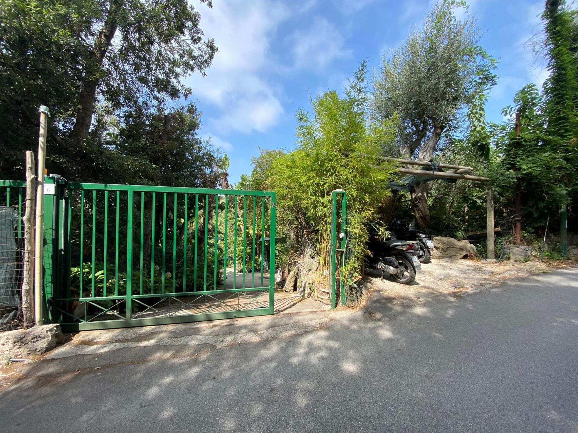 Le Dimore Di Zaro - Green Paradise Forio di Ischia Habitación foto
